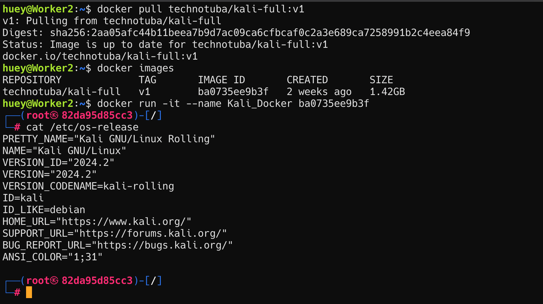 Running Kali Docker Image