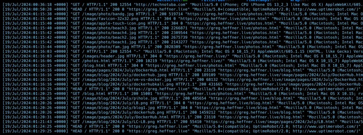 Webserver Logs