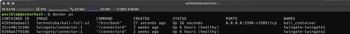 docker ps
