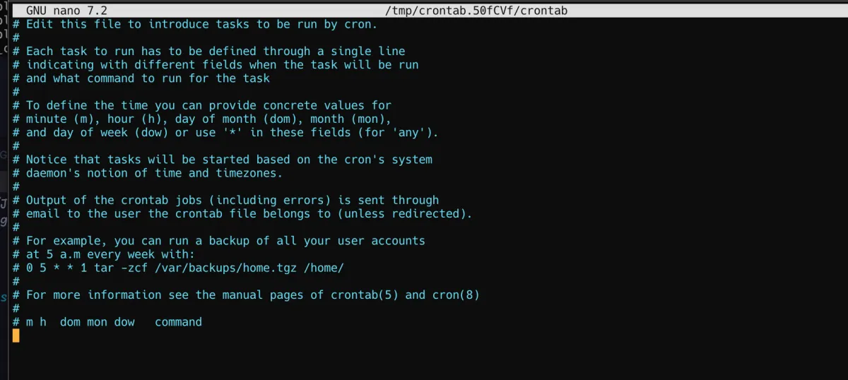 Empty crontab example screenshot